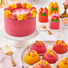 Multipack Pâte d’amande FunCakes Couleurs essentielle 5x100g Multipack Pâte d’amande FunCakes Couleurs essentielle 5x100g