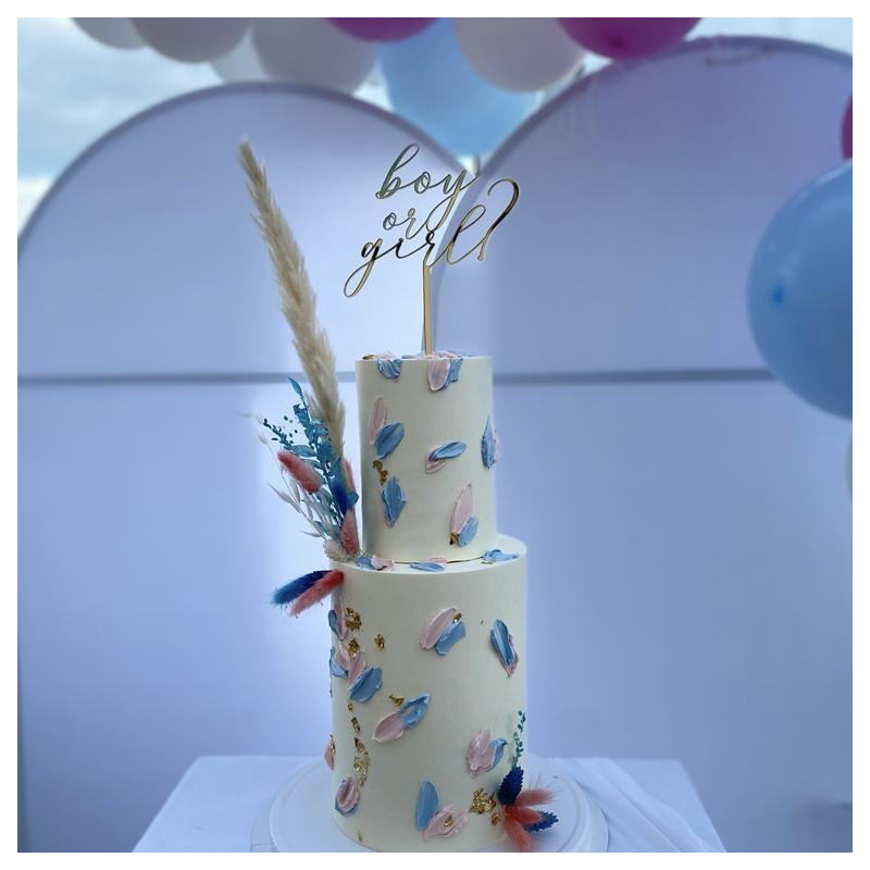 Topper Cake Modèle Boy or Girl