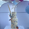 Topper Cake Modèle Boy or Girl